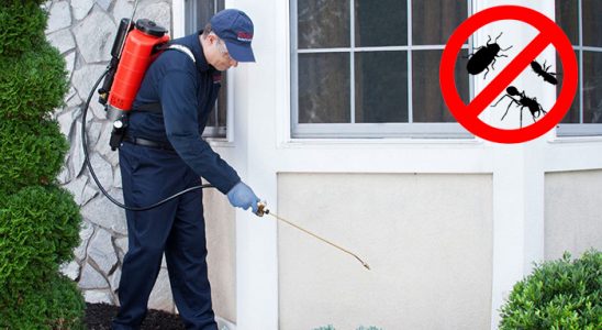 Türkoğlu Dezenfeksiyon böcek ilaçlama ve haşere kontrolü — ilaclama-tr.com
